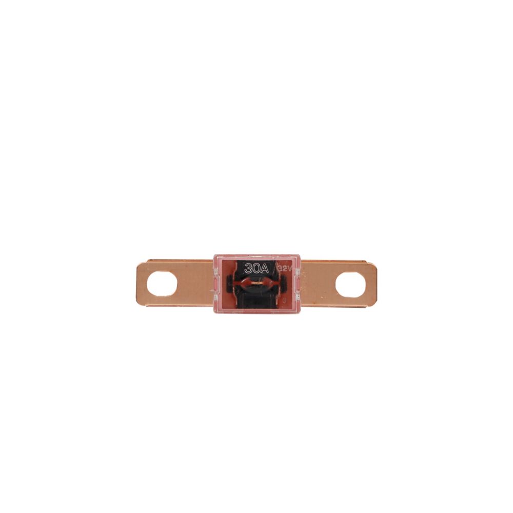 Autolink Pal&trade; Fuses - FLB - 30
